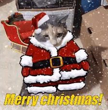 File:Merry34.gif