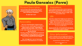 Information about Paulo (Perro)