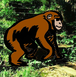 FJ monkey.png