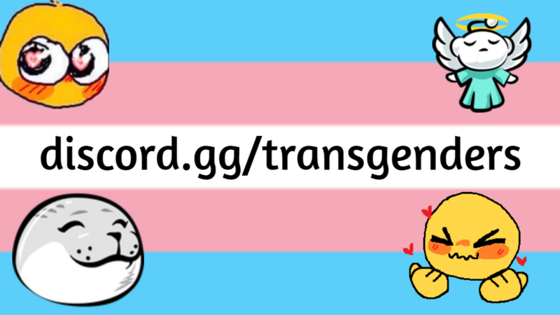 File:Ftatransgenderbanner.png