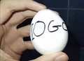 the egg itself