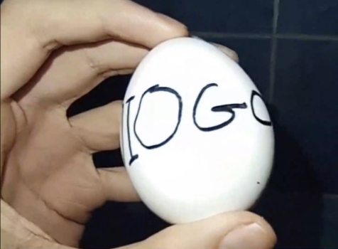 File:Diogoegg.webp