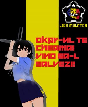 Poster Liga Mulatră.jpg