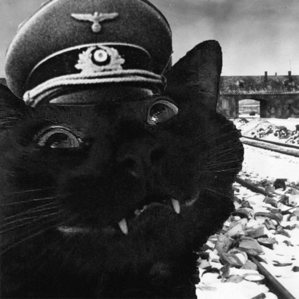 File:CAT AT AUSCHWITZ.png