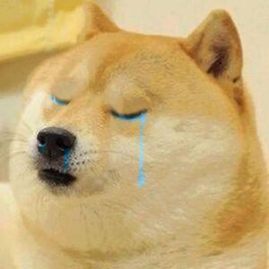 Doge crying.jpeg