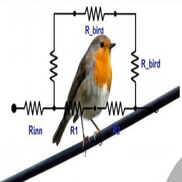 File:Kalps gen pfp.jpg