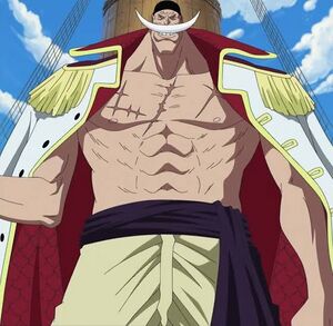 Whitebeard.jpeg