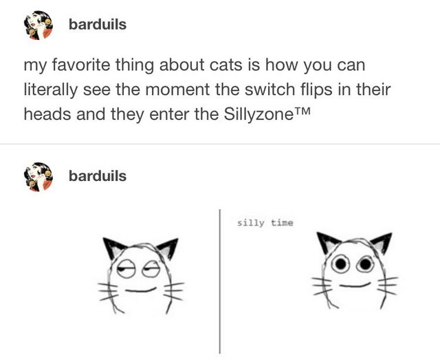 Sillytime Irony Wiki